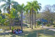 Inscrições para o curso de férias do Parque da Água Vermelha podem ser feitas a partir desta sexta-feira (12)