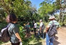Primeiro encontro do Clube de Jardinagem em 2024 acontece no Jardim Botânico de Sorocaba na próxima quarta-feira (21)