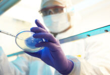 China confirma morte por infecção combinada de cepa de gripe aviária com subtipo de influenza