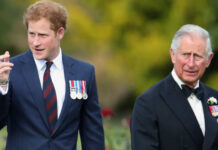 Harry estaria disposto a voltar à realeza para apoiar Charles III