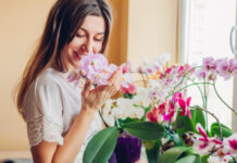 Boa sorte: 30 plantas que vão trazer fortuna para dentro da sua casa