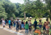 Com 310 votos, filhote fêmea de macaco-aranha-da-testa-branca do Zoo de Sorocaba ganha o nome de Cacau