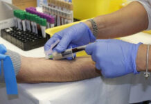 Pessoas que tiveram dengue ou tomaram vacina só podem doar sangue depois de um mês