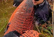 Homem pesca peixe com mais de dois metros e 130 quilos em Rondônia