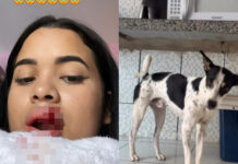Influenciadora beija cachorro na boca e tem parte do lábdio arracado
