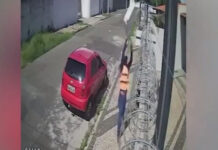 Vídeo: entregador arremessa encomendas por cima de muro e danifica cerca