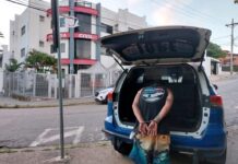 GCM detém pela terceira vez homem que violou medida protetiva ao se aproximar da mãe