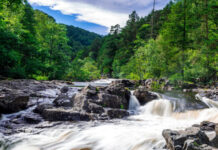 Amigos morrem afogados ao tentar tirar fotos em cascata