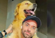 ‘Meu amor foi assassinado’: cão que ia para Mato Grosso vai para o Ceará após erro da Gol