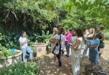 Jardim Botânico de Sorocaba realiza ações voltadas a adultos e crianças neste sábado (6)