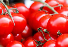 Descubra os poderes do tomate cereja; nutricionista revela os benefícios