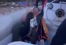 Mulher se emociona ao ver o seu cão em resgate nas cheias: "Único amigo"