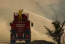 PF investiga 52 incêndios no Brasil, mas não vê ação orquestrada até agora