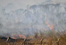 Fogo em Brasília cruza rio, quadruplica em poucas horas e abre novas frentes de incêndio