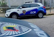 GCM detém homem por descumprimento de medida protetiva em Aparecidinha
