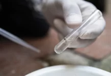 Estado de São Paulo decreta emergência por dengue
