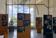 Exposição “Aves em liberdade… Sempre!” tem início na Biblioteca Municipal de Sorocaba nesta quinta-feira (6)