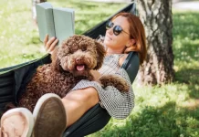 Tornando-se um leitor ativo: como se apaixonar pelo hábito da leitura