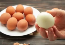 Seis carboidratos vegetais que têm mais proteína do que um ovo