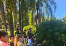 Sorocaba apresenta a experiência do Coaves Kids no Avistar 2025
