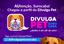 Divulga Pet será lançado em Sorocaba nesta terça-feira (20)