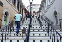 Hábitos que aceleram o metabolismo e ajudam a emagrecer