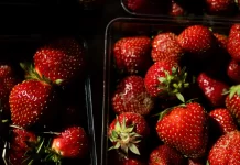 Alimentos com pouquíssimas calorias
