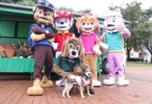 ‘Sorocaba PET Show’ atrai munícipes no Parque Campolim no domingo (8)
