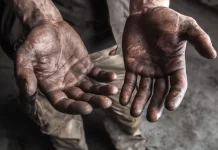 MG: 18 trabalhadores são resgatados em carvoarias clandestinas