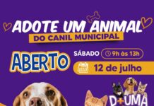 Canil Municipal de Sorocaba estará de portas abertas para adoção responsável de cães e gatos neste sábado (12)