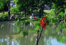 Curso de férias do Parque da Água Vermelha recebe inscrições nesta quarta e quinta-feira (2 e 3)