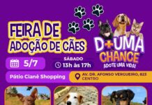 Feira de adoção de cães vai acontecer no Shopping Pátio Cianê neste sábado (5)