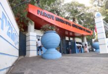 Zoo de Sorocaba e Jardim Botânico recebem inscrições on-line para curso gratuito de férias até quarta-feira (9)