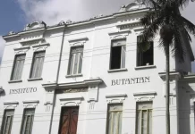 Câmara aprova PL que prevê derrubada de árvores para expansão do Butantan
