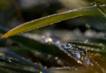 Baixas temperaturas podem causar geadas no Sul e Sudeste, diz Inmet