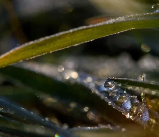 Baixas temperaturas podem causar geadas no Sul e Sudeste, diz Inmet