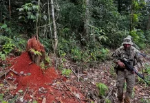 Assassinatos na Amazônia cresceram com caça a aviões clandestinos e tráfico pelos rios, mostra estudo