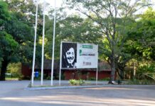 Curso gratuito de tratamento de bambu no Parque “Chico Mendes” é reagendado para dia 3 de outubro