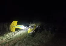 Avião que levava arquiteto chinês no Pantanal caiu após bater em árvore, aponta apuração
