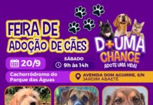Feira de adoção de cães do Canil Municipal ocorrerá no Parque das Águas neste sábado (20)