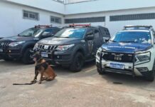 GCM recolhe 473 porções de drogas em duas ocorrências de tráfico