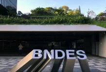 BNDES passa a financiar pesquisa para plantio comercial de árvores nativas