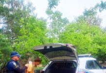 GCM localiza procurado pela Justiça durante patrulhamento no Jardim São Guilherme