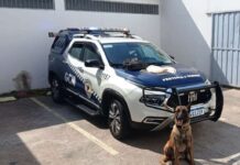 GCM detém rapaz por tráfico de drogas no bairro Carandá