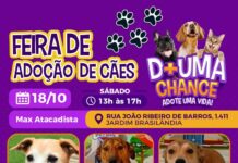 Prefeitura de Sorocaba promove dia de adoção de cães no Jardim Brasilândia neste sábado (18)