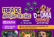 Prefeitura de Sorocaba promove dia de adoção de cães no Parque Campolim neste sábado (25)