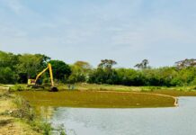 Saae/Sorocaba executa limpeza e remoção de plantas aquáticas em lago do Parque Vitória Régia