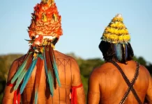 Indigenas pedem demarcação de terras na Aldeia COP
