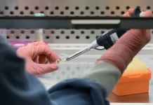 Brasil elimina transmissão do HIV da mãe para o bebê e reduz taxa de mortalidade, diz ministério