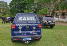 Canil da GCM de Sorocaba presta apoio em interdição de clínica em Araçoiaba da Serra